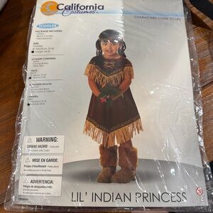 California Costumes Toddler Lil' Indian Princess Costume - Brown and Gold